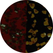 cbnm800.jpg (16881 ֹ(ji))